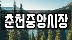 춘천중앙시장