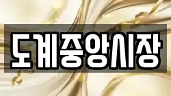 도계중앙시장