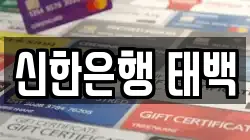 신한은행 태백