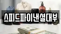 스피드파이낸셜대부