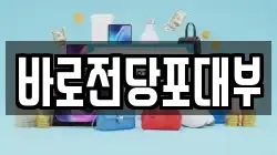 바로전당포대부