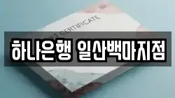 하나은행 일산백마지점