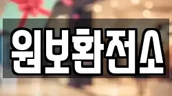 원보환전소