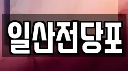 일산전당포