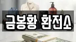 금봉황 환전소