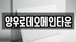 양우로데오메인타운