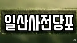 일산사전당포