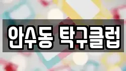 안수동 탁구클럽