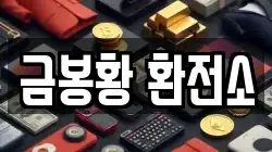 금봉황 환전소