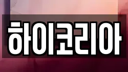 하이코리아