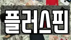 플러스핀