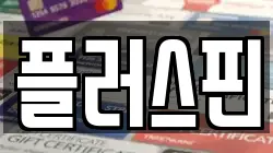 플러스핀