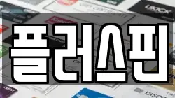 플러스핀