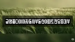 금명품다이아자동차부동산아파트전당포대부