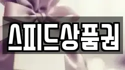 스피드상품권