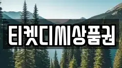 티켓디씨상품권