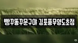 빵꾸똥꾸문구야 김포풍무양도초점