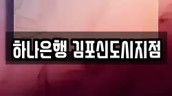 하나은행 김포신도시지점