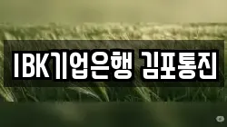 IBK기업은행 김포통진
