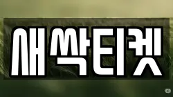 새싹티켓