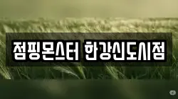 점핑몬스터 한강신도시점