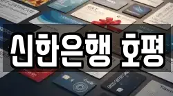 신한은행 호평