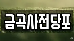 금곡사전당포