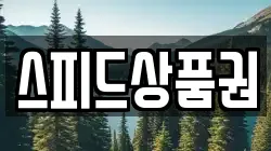 스피드상품권