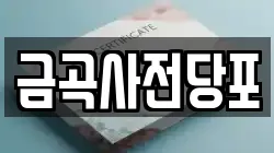 금곡사전당포
