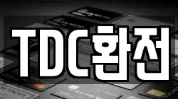 TDC환전