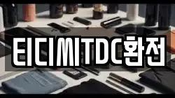 티디씨TDC환전