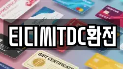 티디씨TDC환전