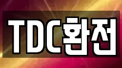 TDC환전