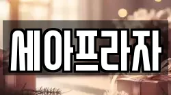 세아프라자