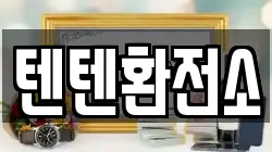 텐텐환전소