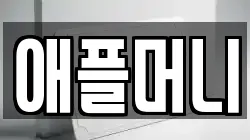 애플머니