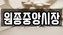 원종중앙시장