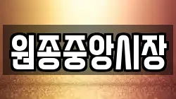 원종중앙시장