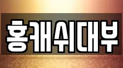 홍캐쉬대부