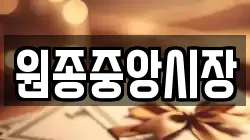 원종중앙시장
