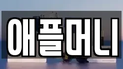 애플머니