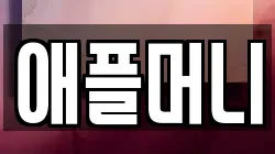 애플머니