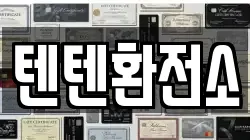 텐텐환전소