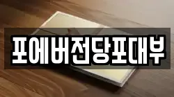 포에버전당포대부