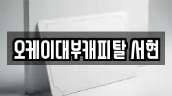 오케이대부캐피탈 서현