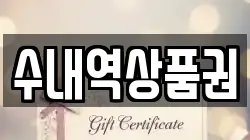 수내역상품권