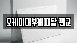 오케이대부캐피탈 판교