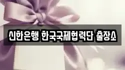 신한은행 한국국제협력단 출장소