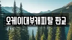 경기도 성남시 수정구 금토동 전당포, 상품권판매, 상품권매매, 환전