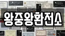 왕중왕환전소
